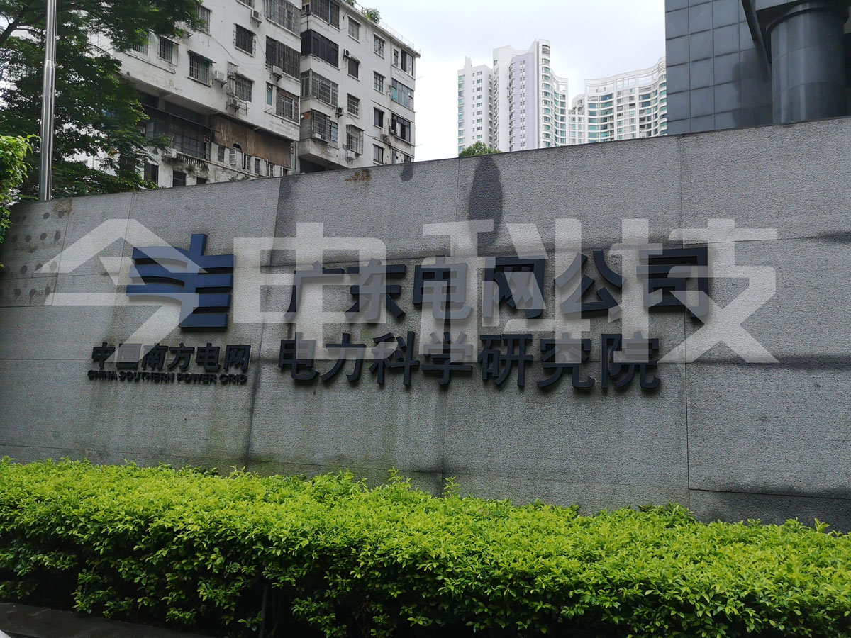  廣東電網公司